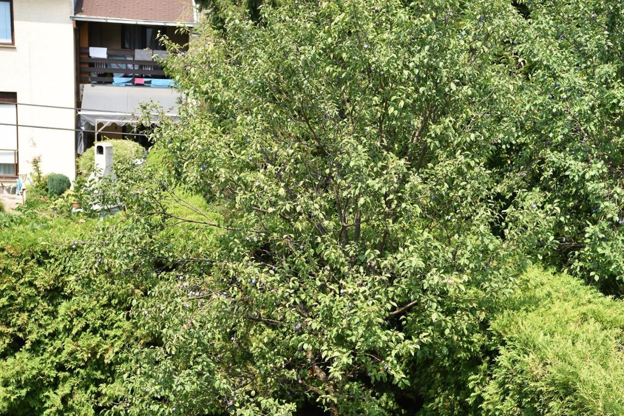 Apartman Jadranka Zapresic Exterior photo